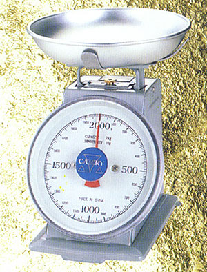 Dial Spring Scale